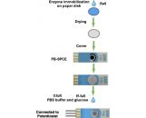 參比電極Ag/AgCl氯化銀漿